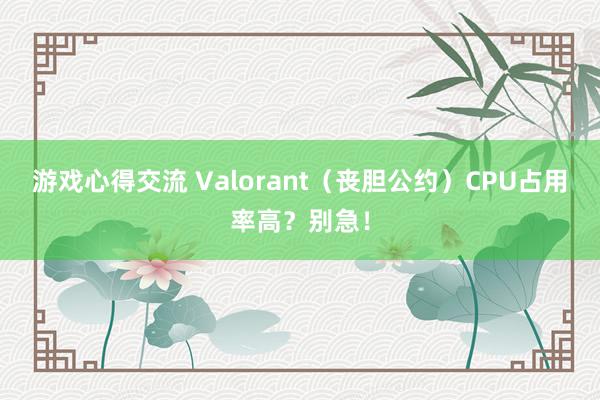 游戏心得交流 Valorant（丧胆公约）CPU占用率高？别急！