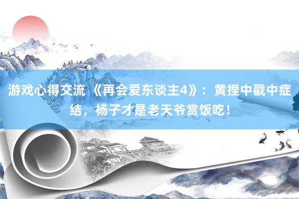 游戏心得交流 《再会爱东谈主4》：黄捏中戳中症结，杨子才是老天爷赏饭吃！