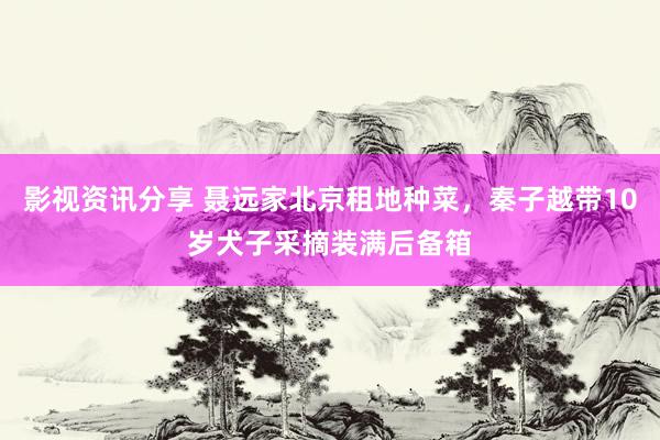 影视资讯分享 聂远家北京租地种菜，秦子越带10岁犬子采摘装满后备箱