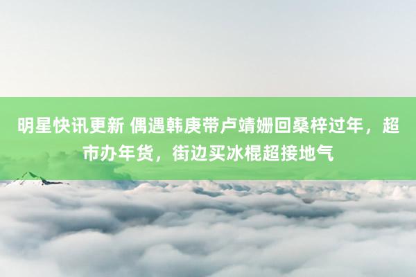 明星快讯更新 偶遇韩庚带卢靖姗回桑梓过年，超市办年货，街边买冰棍超接地气