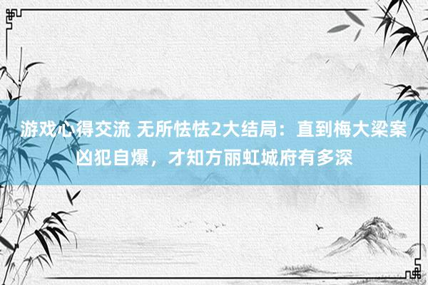 游戏心得交流 无所怯怯2大结局：直到梅大梁案凶犯自爆，才知方丽虹城府有多深